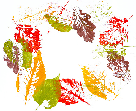 print colorful autumn leaves on white paper, watercolor illustration
