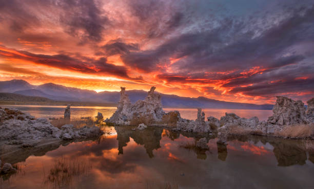 South Tufa, Mono Lake, CA South Tufa, Mono Lake, CA Mono Lake stock pictures, royalty-free photos & images