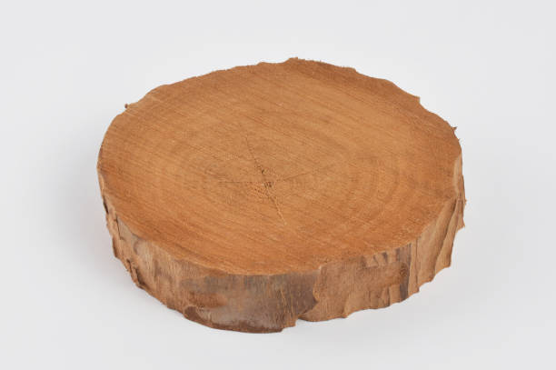 istock Wooden cross section 1028387044