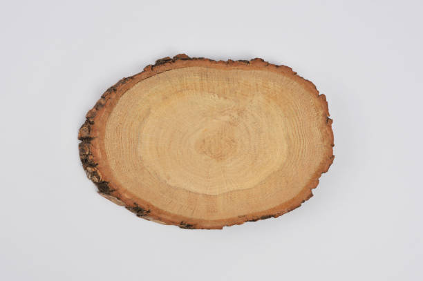 istock Wooden cross section 1028387666