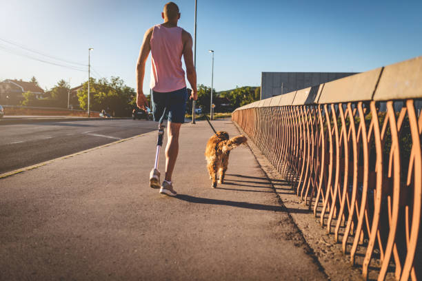 istock Amputee on a bridge walking his golden retriever 1028387730