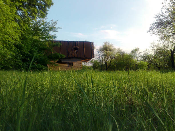 istock abandoned old house in russian village 1028391364