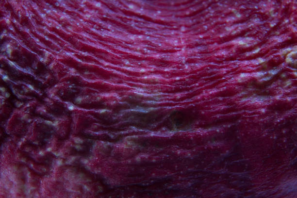 Fading fruit of a peach close-up.