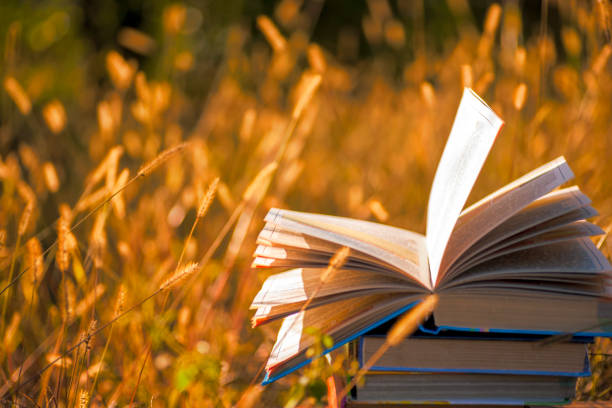 istock Open book on wooden table on natural background. Soft focus 1028394622