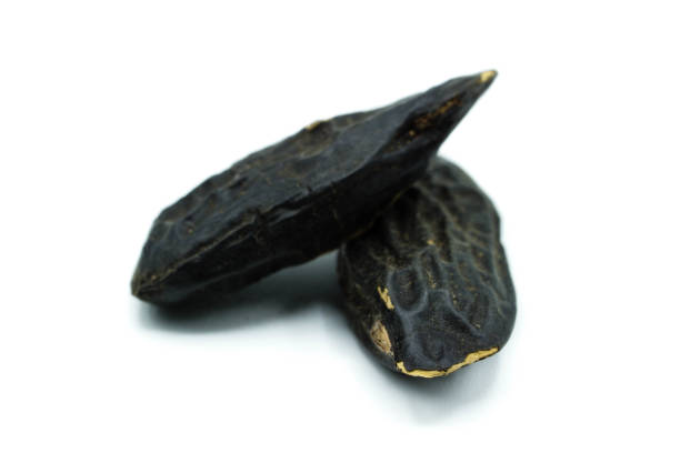 istock Two tonka beans isolated on white background 1028397052