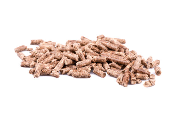 istock Bunch of pellets 1028397152