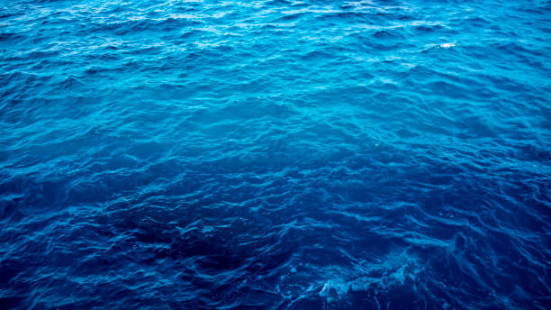istock Crystal Blue Water - Mexican Coast 1028411030