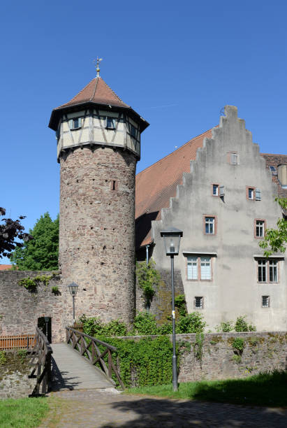 istock Diebsturm in Michelstadt, Germany 1028418274
