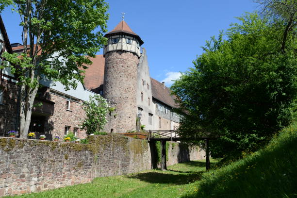 istock Diebsturm in Michelstadt, Germany 1028418338