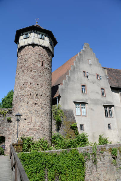 istock Diebsturm in Michelstadt, Germany 1028418382
