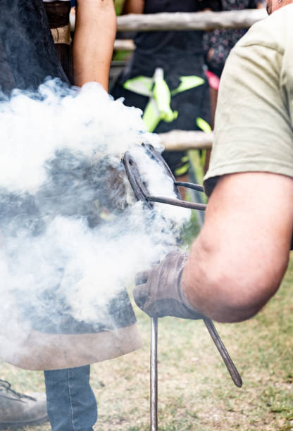 istock Ancient craft job man burning horse shoeing 1028418420