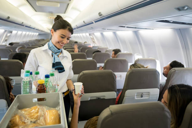 istock Air hostess serving food and drinks onboard 1028421660