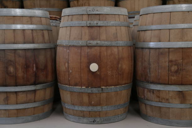 istock cellar for wine, beer run, and whiskey barrels 1028426660