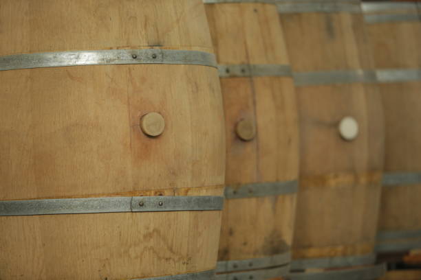 istock cellar for wine, beer run, and whiskey barrels 1028426706
