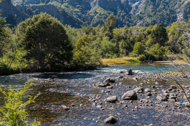 istock Mountain river at San Martin de los Andes, Argentina. 1028427030