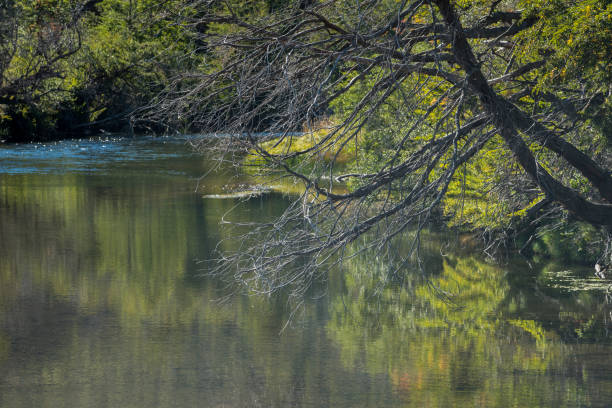 Reflection on a mountain river at San Martin de los Andes, Argentina.