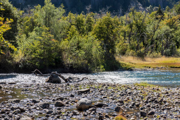 istock Mountain river at San Martin de los Andes, Argentina. 1028435220