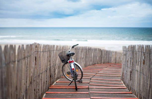 istock View of the sea from the dune. 1028436116
