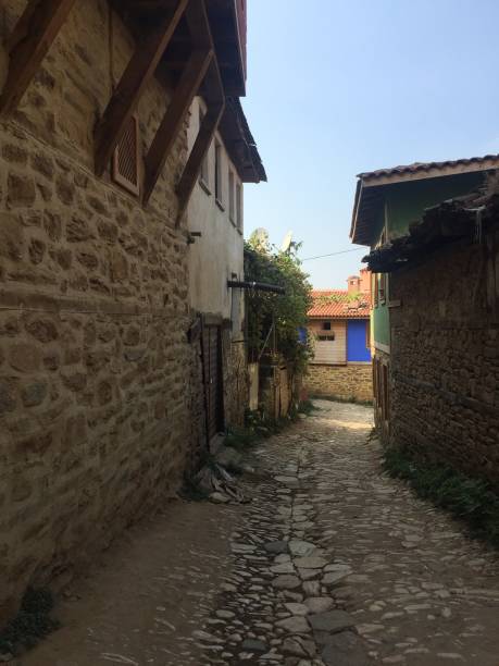istock Traditional historical old house 1028436194