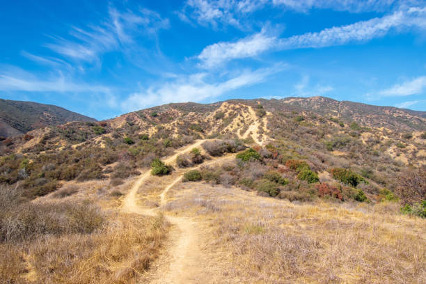 istock Mountain bike trails in mountains 1028438306
