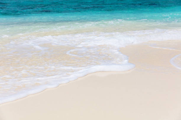 istock White sandy beach and blue foamy sea 1028439838