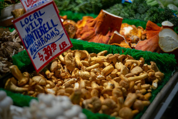 istock Local Wild Chanterelle Mushrooms 1028443736