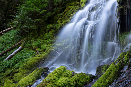 Upper Proxy Falls  in Willamette National Forest, Oregon