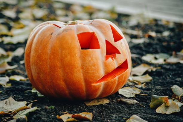 istock Celebration Decoration Halloween Holiday 1028466096