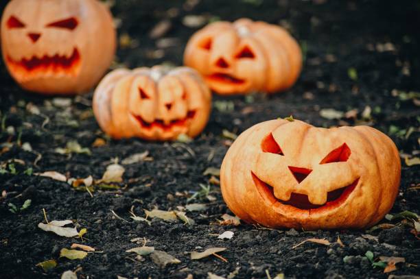 istock Celebration Decoration Halloween Holiday 1028466276