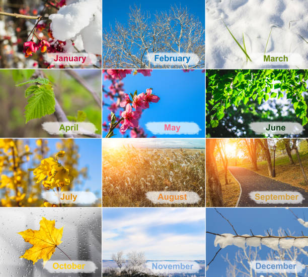 istock blank with different twelve colored images of nature for calendar. 1028468304