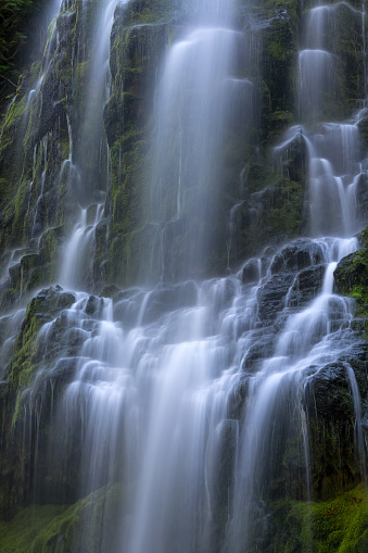 Proxy Falls near McKenzie Pass in the Three Sisters Wilderness, Oregon, USA