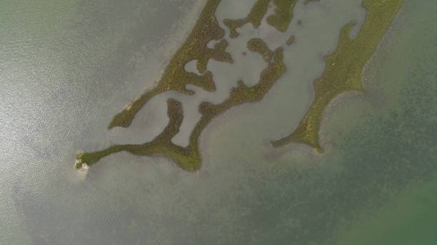 intra-coastal islands in nc - aerial - intra coastal imagens e fotografias de stock