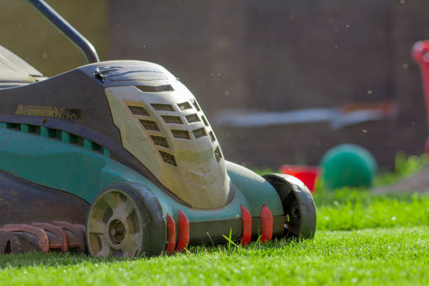 istock Lawn mower cutting green grass in backyard 1028484240