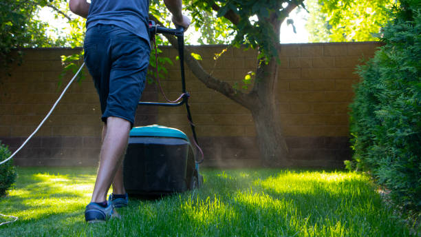 istock Lawn mower cutting green grass in backyard 1028484246