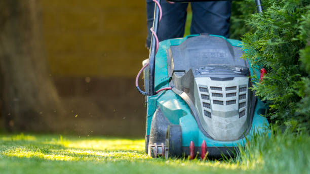 istock Lawn mower cutting green grass in backyard 1028484248