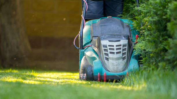 istock Lawn mower cutting green grass in backyard 1028484252