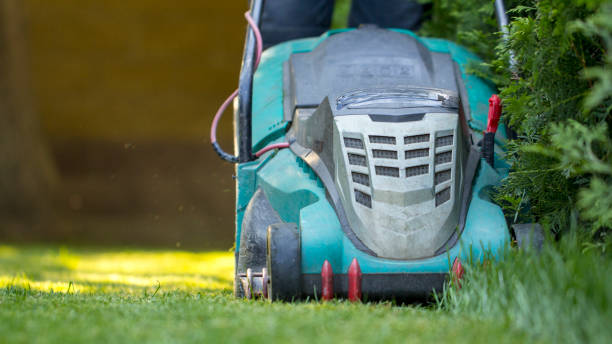 istock Lawn mower cutting green grass in backyard 1028484254