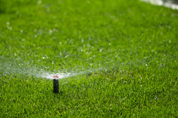 istock automatic sprinkler system watering the lawn on a background of green grass 1028486734