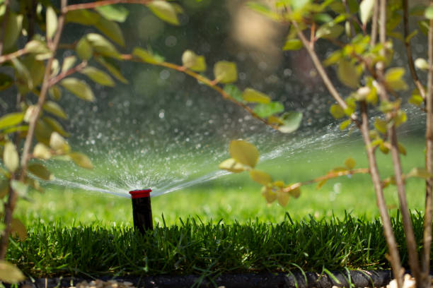istock automatic sprinkler system watering the lawn on a background of green grass 1028486740