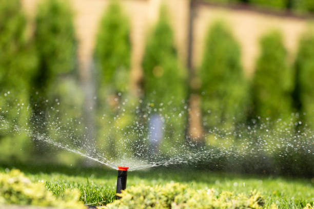 istock automatic sprinkler system watering the lawn on a background of green grass 1028486798