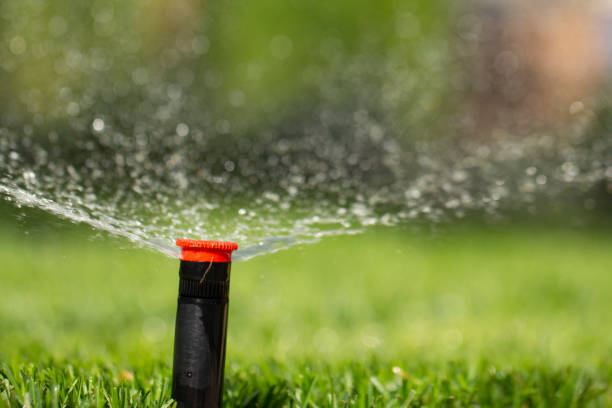 istock automatic sprinkler system watering the lawn on a background of green grass 1028486806