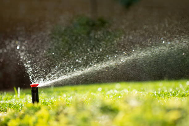 istock automatic sprinkler system watering the lawn on a background of green grass 1028486826