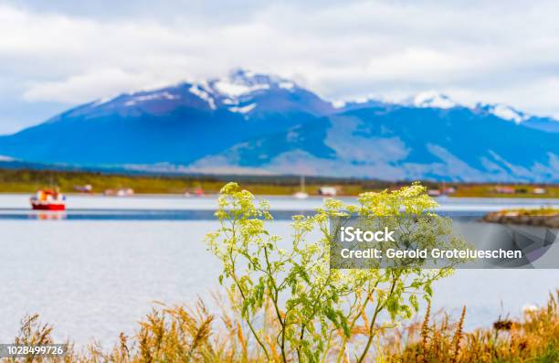 Planta Puerto Natales