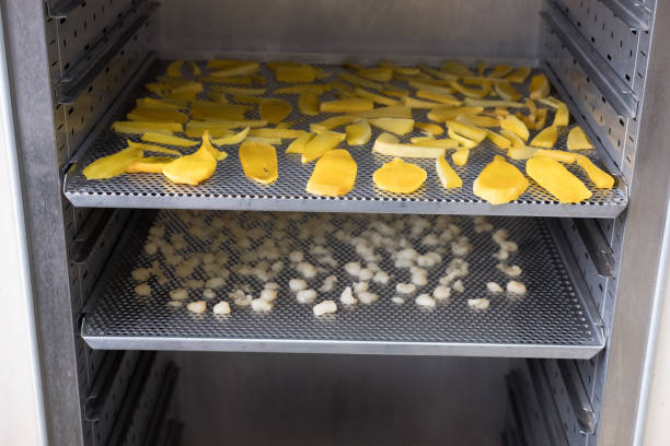 istock tropical fruit drying in hot oven. dried mango, longan on stainless tray 1028504568