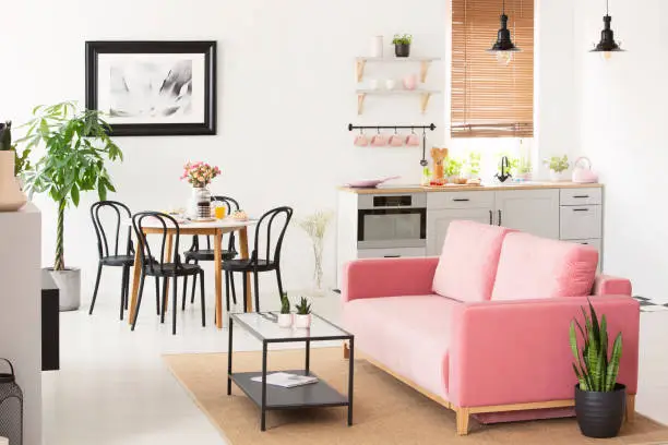 Pink settee near black chairs at dining table in flat interior with kitchenette and poster. Real photo