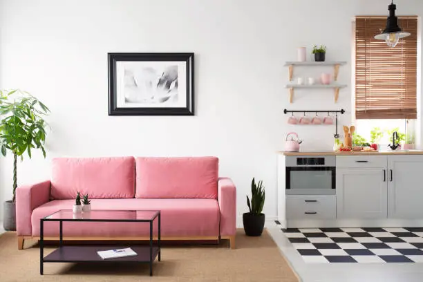Pink couch between plants in white apartment interior with poster and kitchenette. Real photo