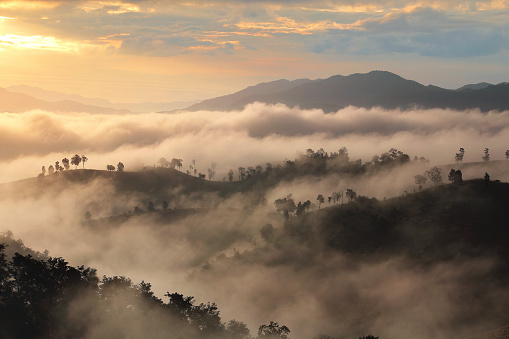 Beautiful scenery during sunrise with the mist at Ban Huay Kon ,Chaloem Phra Kiat district ,Nan province in Thailand is a very popular for photographer and tourists. Attractions and natural Concept