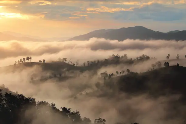 Photo of Beautiful scenery during sunrise with the mist at Ban Huay Kon ,Chaloem Phra Kiat district ,Nan province in Thailand is a very popular for photographer and tourists. Attractions and natural Concept