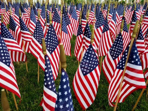 A Large Mass Grouping of American Flags stock photo
