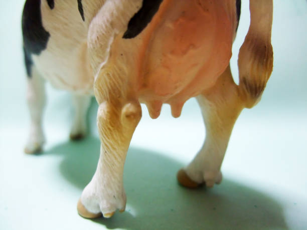 istock Ornament of a cow 1028537802